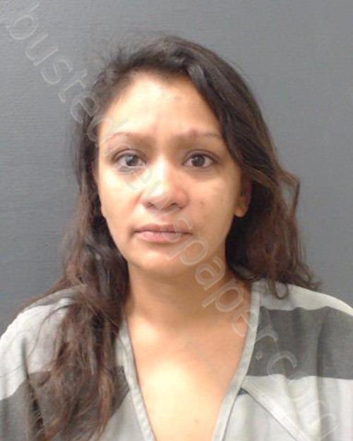 DEIR, ANDREA AGUERO #, Comal County, Texas - 2024-10-05