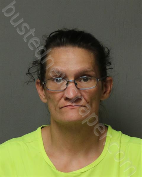 MEADOWS, KIMBERLY RENEE #, New River Valley Regional Jail, Virginia - 2024-10-05