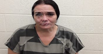 <B>LUCAS</B>, <B>STEPHANIE</B> <B>KAY</B> #, Monroe County, Tennessee - 2024-10-06 02:44:00
