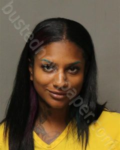 FRAY, MORGAN ALEXIS | 2024-10-07 New River Valley Regional Jail, Virginia Booking