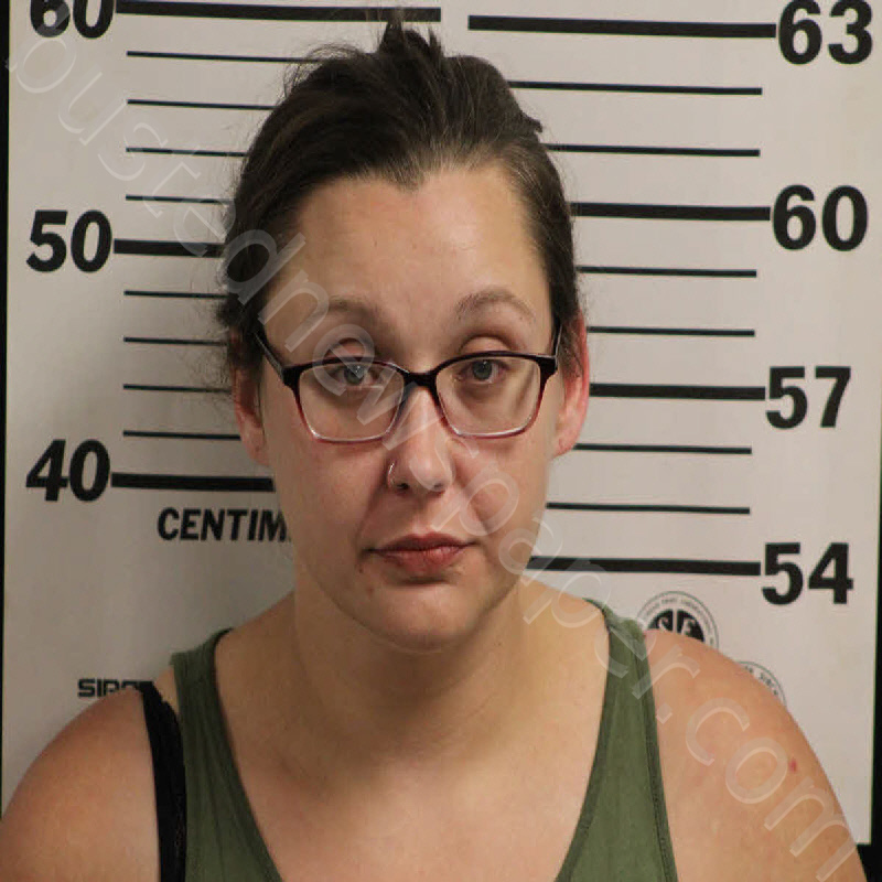 Bryson, Michelle Lee Ann 20241008 235000 Jackson County, North