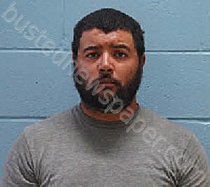 HECTOR JAVIER MALDONADO-GONZALEZ | 2024-10-08 Lee County, Alabama Booking