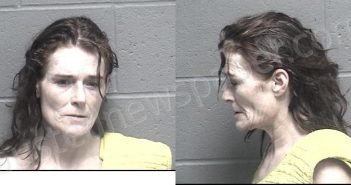 CARTER, CARRIE ANNE | 2024-10-09 13:55:00 Crawford County, Kansas Booking