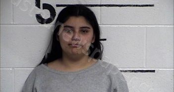 CHAVEZ LARA, DANIA ABIGAIL | 2024-10-09 Chase County, Kansas Booking