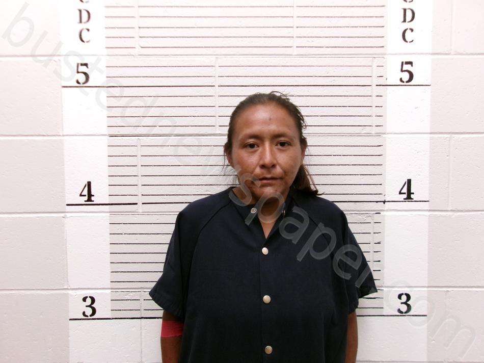 Ganadonegro, Anait 20241009 135200 Socorro County, New Mexico Booking