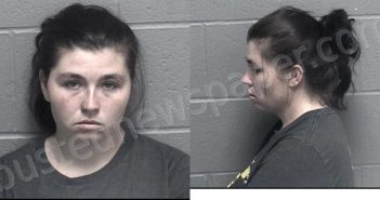 WILSON, ASHLEY MARIE | 2024-10-09 18:38:00 Crawford County, Kansas Booking