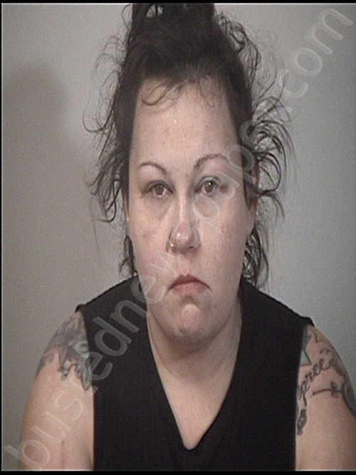 JONES, TARA DAWN NICOLE #, Rappahannock Regional Jail, Virginia - 2024-10-09 20:30:00