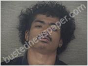 WALKER, DAUNTE | 2024-10-10 Harnett County, North Carolina Booking