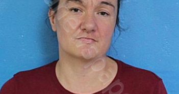 BERNAL, JESSICA ANN | 2024-10-10 17:52:57 Sullivan County, Tennessee Booking