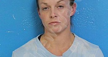 KEARNEY, SHELBY REBECCA | 2024-10-10 16:06:00 Sullivan County, Tennessee Booking