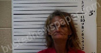 CARROLL, LISA MICHELLE | 2024-10-11 11:32:00 Cherokee County, North Carolina Booking