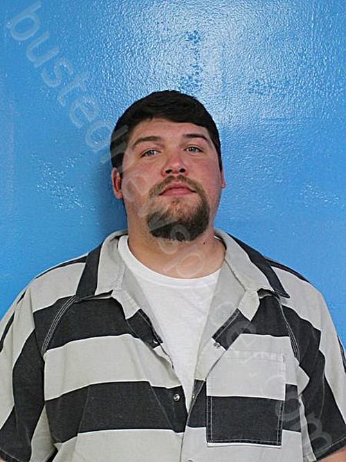 MINNICK, AARON GABRIEL #, Sullivan County, Tennessee - 2024-10-11 17:00:00