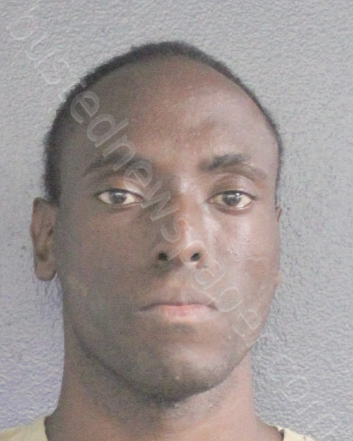 MOSLEY, RYAN ANTHONY #, Broward County, Florida - 2024-10-12