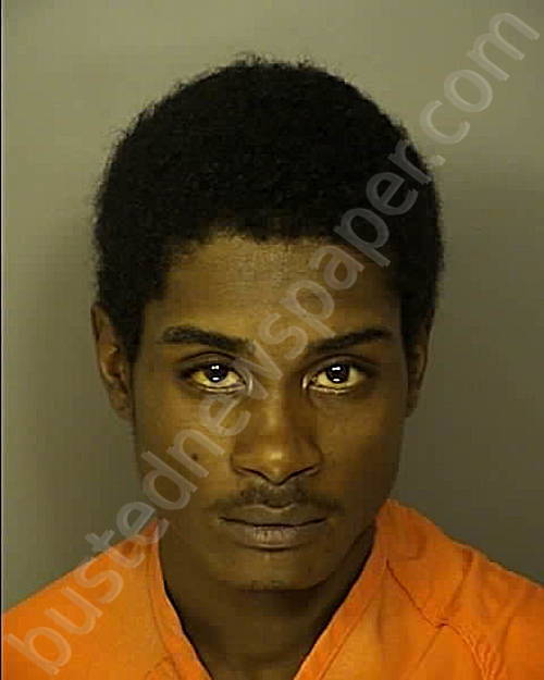 SPENCER, CLIFTON #, Horry County, South Carolina - 2024-10-13 21:28:00