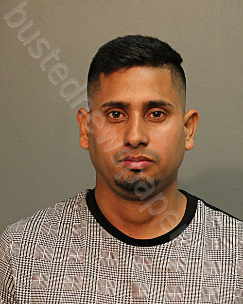 Edixon Ysaac Leon Leon 20241013 Chicago, Illinois Booking