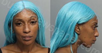 BRADSHAW, SHAYLA PATRICE | 2024-10-14 08:01:00 Miami-Dade County, Florida Booking