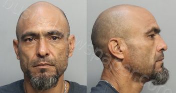 PEREZ-RODRIGUEZ, YOEL | 2024-10-14 11:02:00 Miami-Dade County, Florida Booking