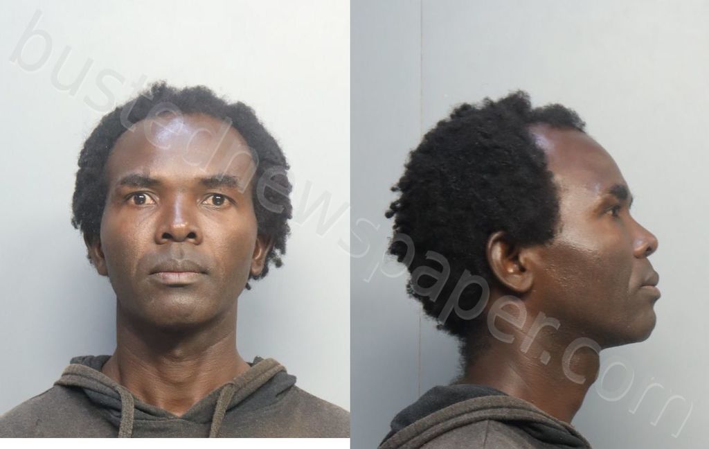 BELOTTE, FRANTZO #, Miami-Dade County, Florida - 2024-10-14 03:08:00