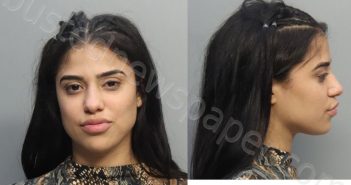 RODRIGUEZ, ANDREA | 2024-10-14 09:43:00 Miami-Dade County, Florida Booking