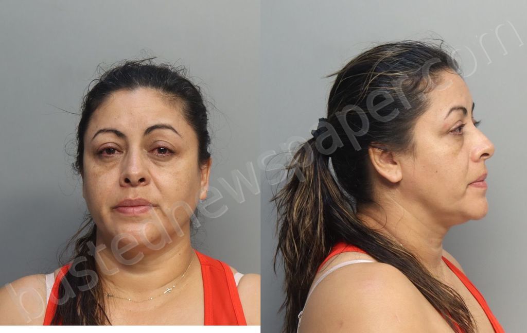 CAMELOBALAGUERA, JENY ESMERALDA #, Miami-Dade County, Florida - 2024-10-15 01:20:00