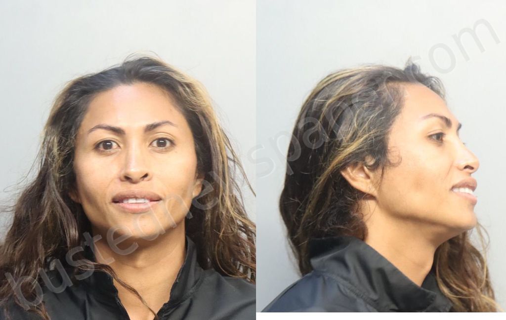 MARTINEZALARCON, MAURO #, Miami-Dade County, Florida - 2024-10-15 02:27:00