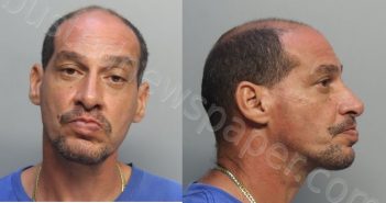 ARIAS, CARLOS MANUEL | 2024-10-15 01:27:00 Miami-Dade County, Florida Booking