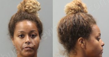 BLEVINS, SARAH DAWN | 2024-10-15 11:38:00 Miami-Dade County, Florida Booking