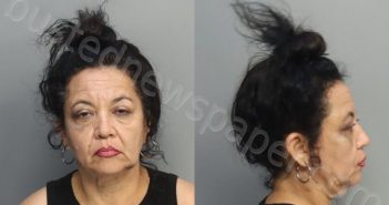 MAYOR, HISMAR ZULLY | 2024-10-15 18:53:00 Miami-Dade County, Florida Booking