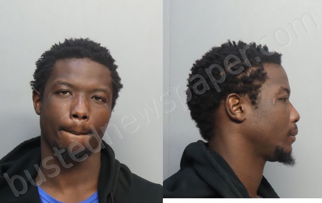 SEYMOUR, MAURICE #, Miami-Dade County, Florida - 2024-10-15 02:14:00