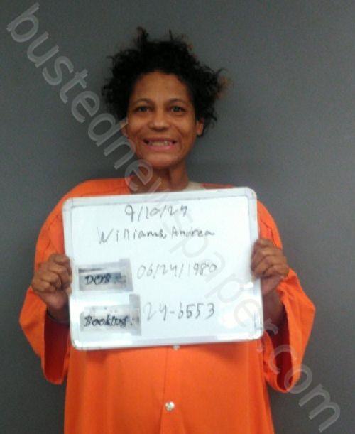 WILLIAMS, ANDREA MONIQUE #, Sebastian County, Arkansas - 2024-10-15 02:05:00