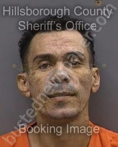 MARTINEZ MOLINARY,MOISES | 2024-10-15 01:39:00 Hillsborough County, Florida Booking