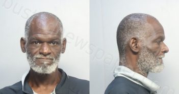 MCKNIGHT, MARECE JAMES | 2024-10-15 19:00:00 Miami-Dade County, Florida Booking