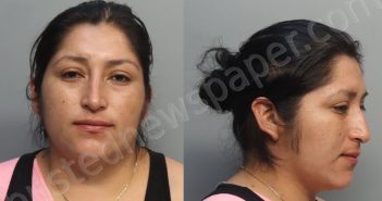GUERRERO, DULCE | 2024-10-15 02:46:00 Miami-Dade County, Florida Booking