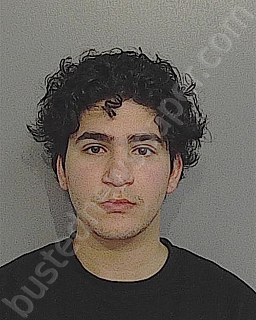 Samuel Edel Crespogarces 20241016 Osceola County, Florida Booking