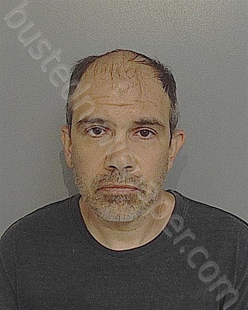 Jordan Walter Tsvetkoff 20241016 Osceola County, Florida Booking