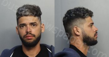 LEONSARDUA, EMMANUEL ELIAS | 2024-10-16 06:40:00 Miami-Dade County, Florida Booking