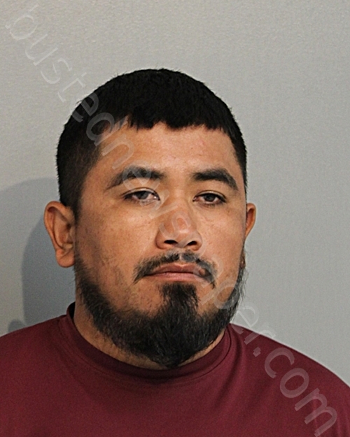 Joel Avilagonzalez 20241016 Osceola County, Florida Booking