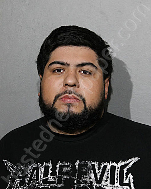 Alfredo Garcia Jr 20241017 Chicago, Illinois Booking