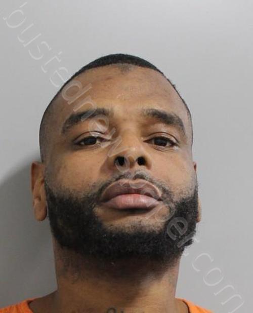 Henry, Ok 20241017 Polk County, Florida Booking