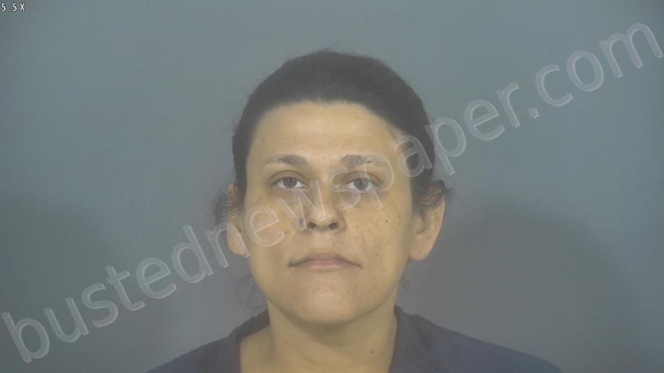 Clendenin, Roxann Lynn 20241017 125100 St. Joseph County, Indiana