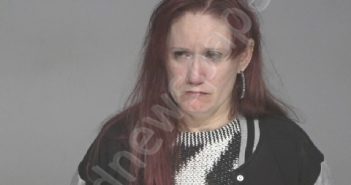 ZARAGOZA, DEBRA LYNN | 2024-10-17 02:51:00 Chaves County, New Mexico Booking