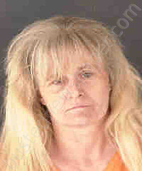 Springate, Tammy Lynne 20241017 Sarasota County, Florida Booking