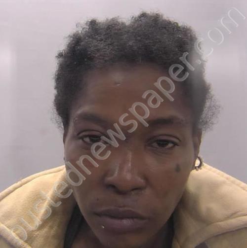 Hayes, Shakema Evelyn 20241018 155600 Chesapeake, Virginia Booking