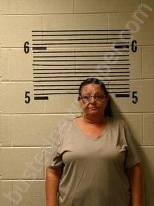 Denise Weldon 20241018 182400 Elmore County, Alabama Booking