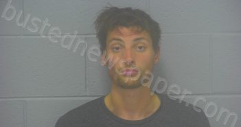 <B>TERRY</B>, <B>LUKA</B> <B>DAVID</B> #, Greene County, Missouri - 2024-10-18 23:29:00
