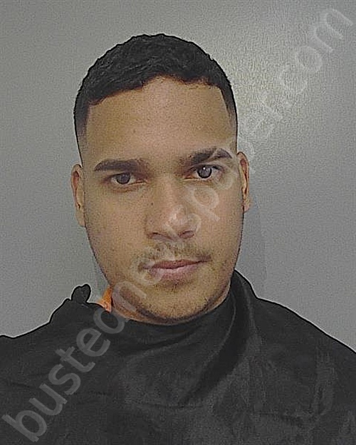 Luis Pimentelrodriguez 20241018 Osceola County, Florida Booking