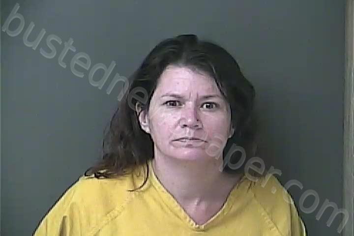 MIZE, ROBYN NICOLE #, Howard County, Indiana - 2024-10-18 12:47:00