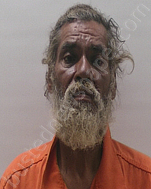 Gonzalez Dionicio Pina 20241019 Cameron County, Texas Booking