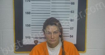 MILLER, TIFFANY A | 2024-10-19 10:57:00 Ottawa County, Ohio Booking