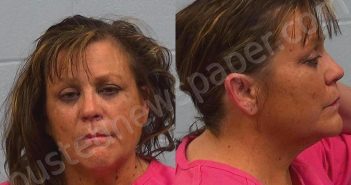 GUIDRY, GINA DIANNE | 2024-10-19 Williamson County, Texas Booking